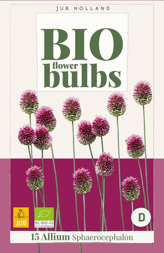 Bio allium sphaerocephalon 15 bollen - afbeelding 1
