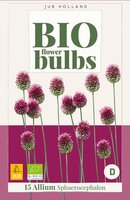 Bio allium sphaerocephalon 15 bollen - afbeelding 1