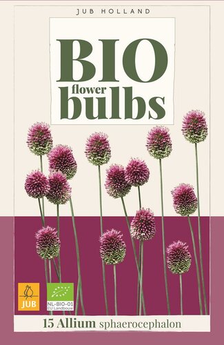 Bio allium sphaerocephalon 15 bollen - afbeelding 1