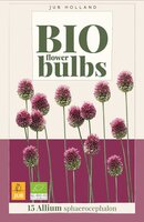 Bio allium sphaerocephalon 15 bollen