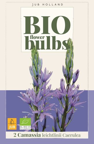 Bio Camassia Leichtlinii Caerulea 2 bollen - afbeelding 1