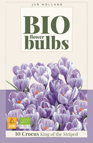 Bio crocus king of the striped 10 bollen - afbeelding 1