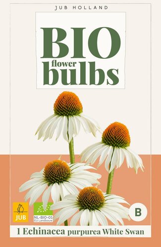 Bio echinacea purpurea white swan