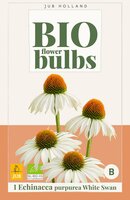 Bio echinacea purpurea white swan
