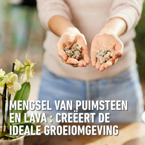 Compo bio granuplant orchidee 3 liter - afbeelding 3