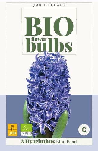 Bio Hyacint blue pearl 3 bollen - afbeelding 3