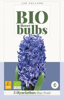 Bio Hyacint blue pearl 3 bollen - afbeelding 3