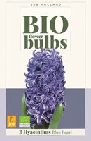 Bio Hyacint blue pearl 3 bollen