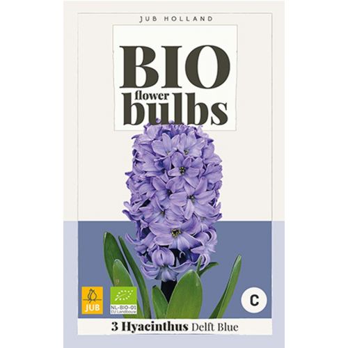 Bio hyacint delft blue 3 bollen - afbeelding 1