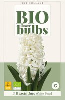 Bio hyacint White Pearl 3 bollen - afbeelding 3