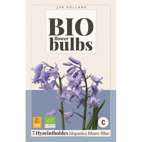 Bio Hyacinthoides hispanica blauw 7 bollen - afbeelding 1
