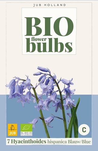 Bio Hyacinthoides hispanica blauw 7 bollen - afbeelding 3