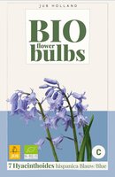 Bio Hyacinthoides hispanica blauw 7 bollen - afbeelding 3