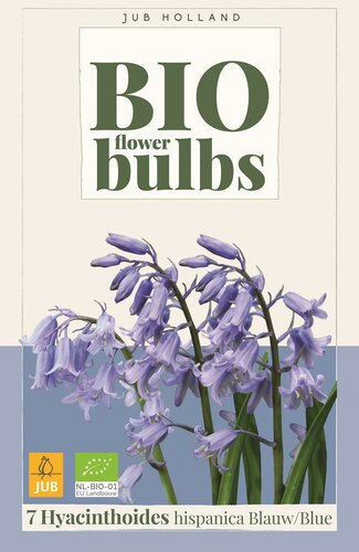 Bio Hyacinthoides hispanica blauw 7 bollen - afbeelding 1
