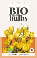 Bio Krokus golden yellow 10 bollen - afbeelding 1