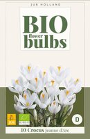 Bio krokus jeanne darc 10 bollen - afbeelding 4