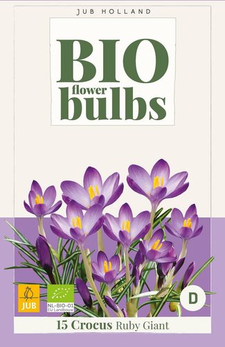 Bio krokus Ruby Giant 15 bollen - afbeelding 4