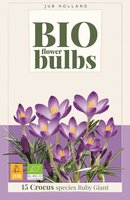 Bio krokus Ruby Giant 15 bollen