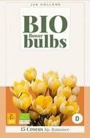 Bio krokus sp. romance 15 bollen - afbeelding 3