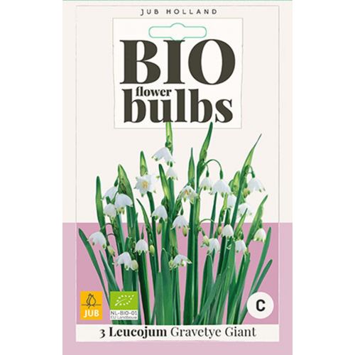 Bio leucojum gravetye giant 3 bollen - afbeelding 1