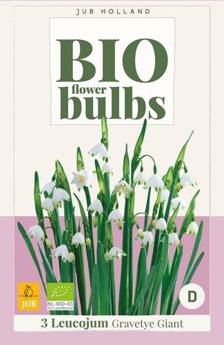 Bio leucojum gravetye giant 3 bollen - afbeelding 3