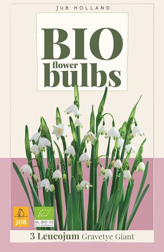Bio leucojum gravetye giant 3 bollen - afbeelding 1