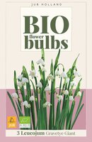 Bio leucojum gravetye giant 3 bollen