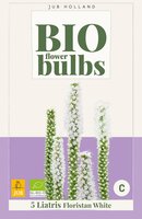 Bio liatris floristan white