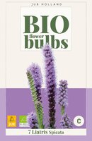 Bio liatris spicata