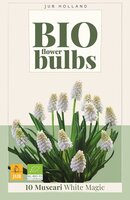 Bio muscari white magic 10 bollen