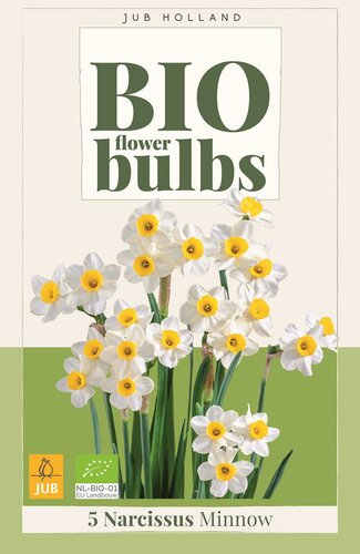 Bio narcis minnow 5 bollen - afbeelding 1