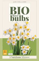 Bio narcis minnow 5 bollen