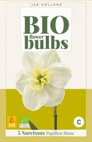 Bio narcis papillon blanc 5bollen - afbeelding 2
