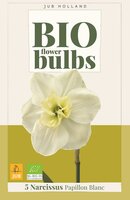 Bio narcis papillon blanc 5bollen