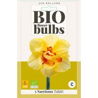 Bio narcis Tahiti 5 bollen - afbeelding 2
