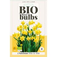 Bio narcis Tete-a-Tete 5 bollen - afbeelding 2