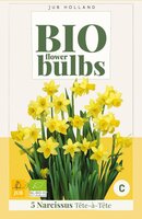 Bio narcis tete-a-tete 5 bollen - afbeelding 2