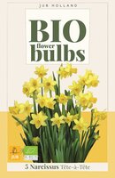 Bio narcis tete-a-tete 5 bollen