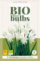 Bio narcis triandrus thalia 5 bollen - afbeelding 1