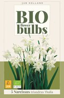 Bio narcis triandrus thalia 5 bollen