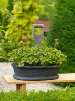 Bio oxalis deppeiron cross - afbeelding 3