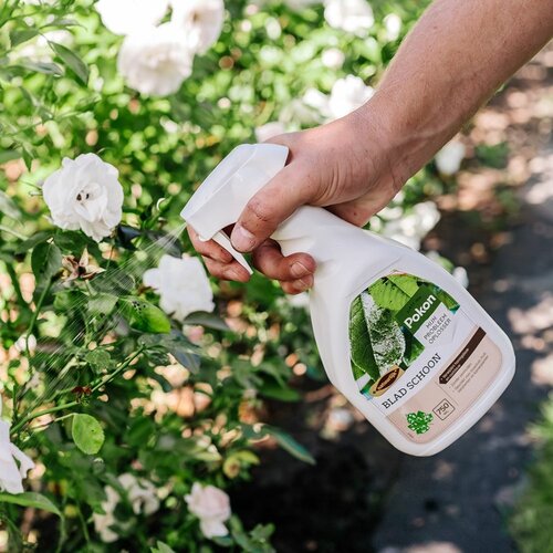 Pokon Bio blad schoon 750 ml - afbeelding 2