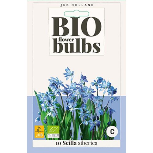 Bio scilla siberica 10 bollen oud