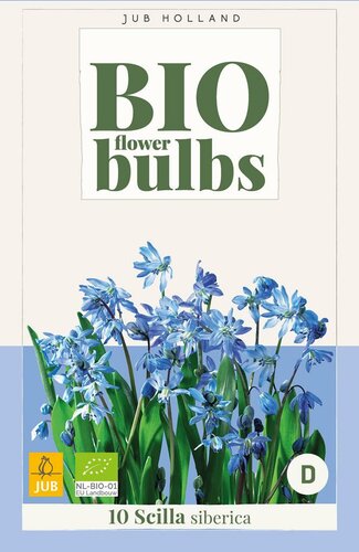 Bio scilla siberica 10 bollen oud - afbeelding 3