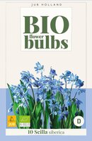 Bio scilla siberica 10 bollen oud - afbeelding 3