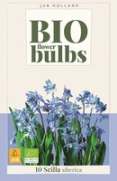 Bio scilla siberica 10 bollen oud