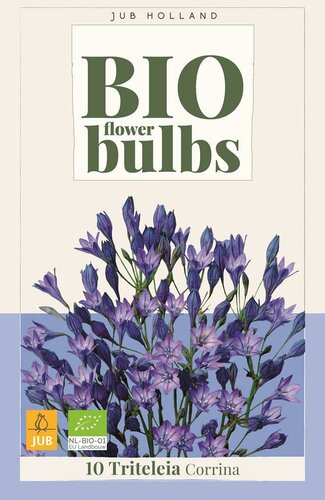 Bio Triteleia corrina 10 bollen - afbeelding 1