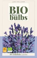 Bio Triteleia corrina 10 bollen - afbeelding 1
