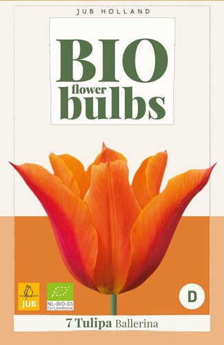 Bio tulp ballerina 7 bollen - afbeelding 3