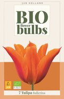 Bio tulp ballerina 7 bollen
